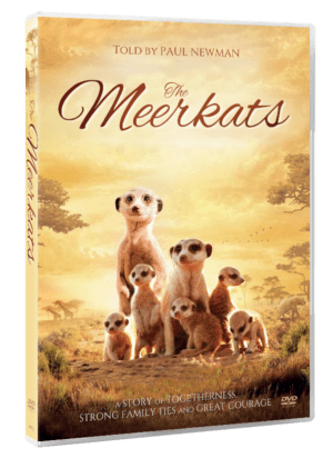 The Meerkats
