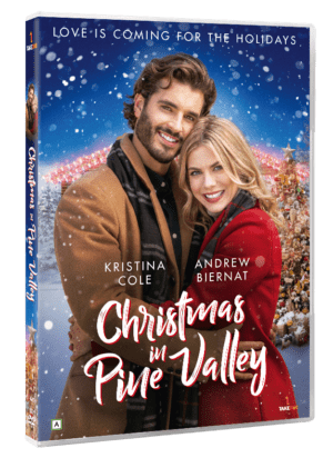 Christmas In Pine Valley