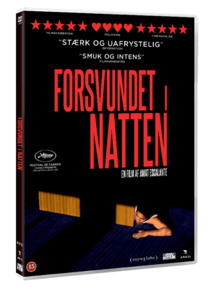 Forsvundet I Natten