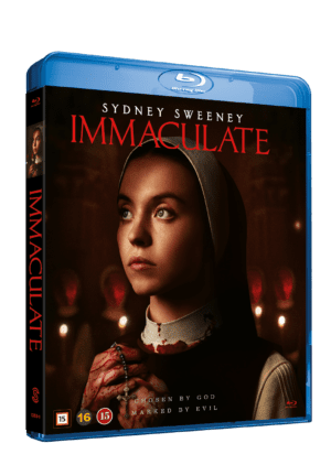 Immaculate BD
