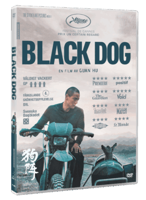 Black Dog - DVD