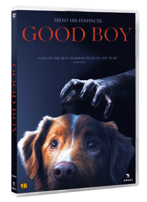 Good Boy