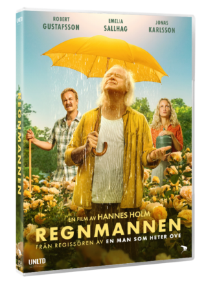 Regnmannen - DVD